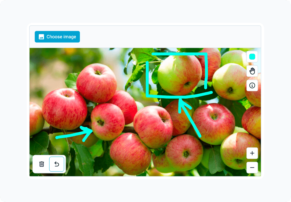 Web Forms image widget with annotation